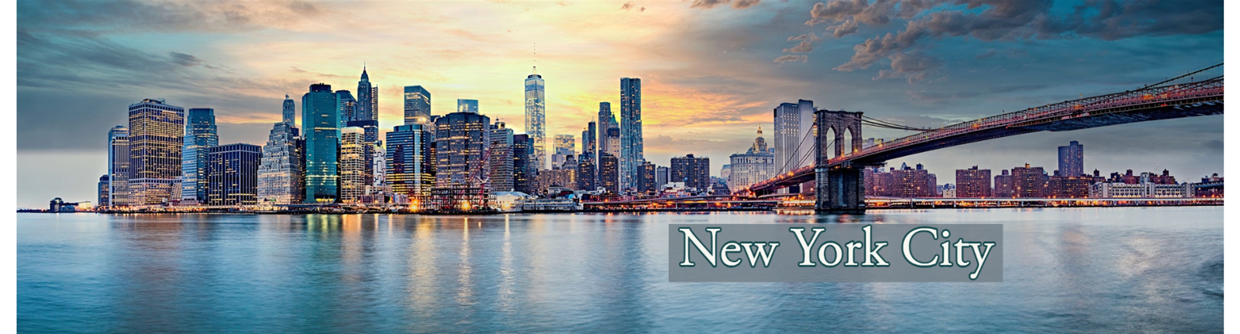 new york city banner.jpg