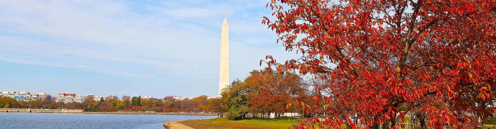 washington-dc-fall.jpg
