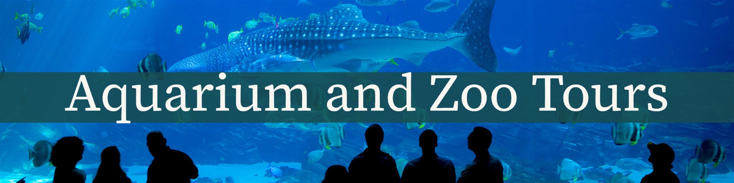 aquarium and zoo tours.jpg
