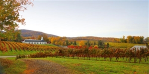 VA Wine Country.jpg