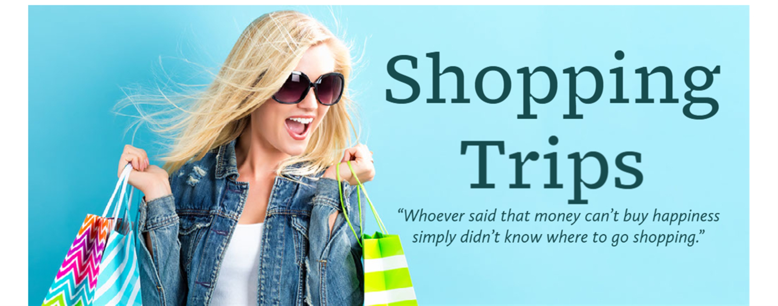 shopping trips banner.jpg