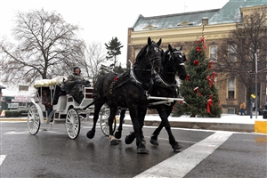 Bellefont Victorian Christmas.jpg