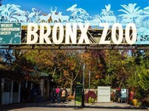 Bronx Zoo.jpg