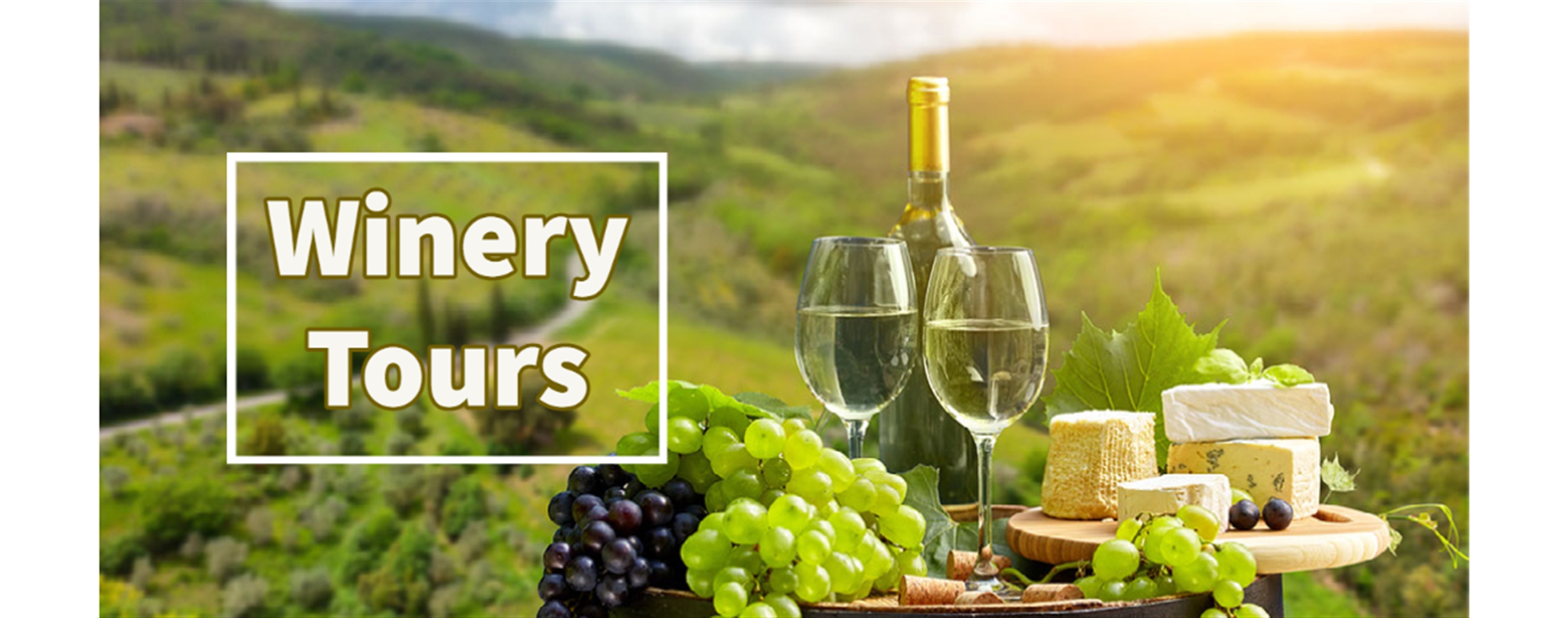 winery banner.jpg