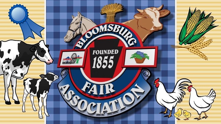 bloomsburgfair.jpg
